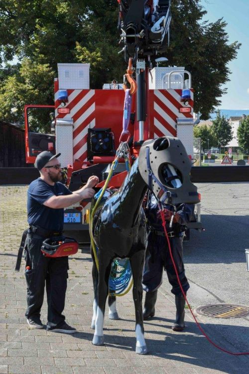 Praktische Übung zur Rettung von Grosstieren aus Gruben. Bild: zVg