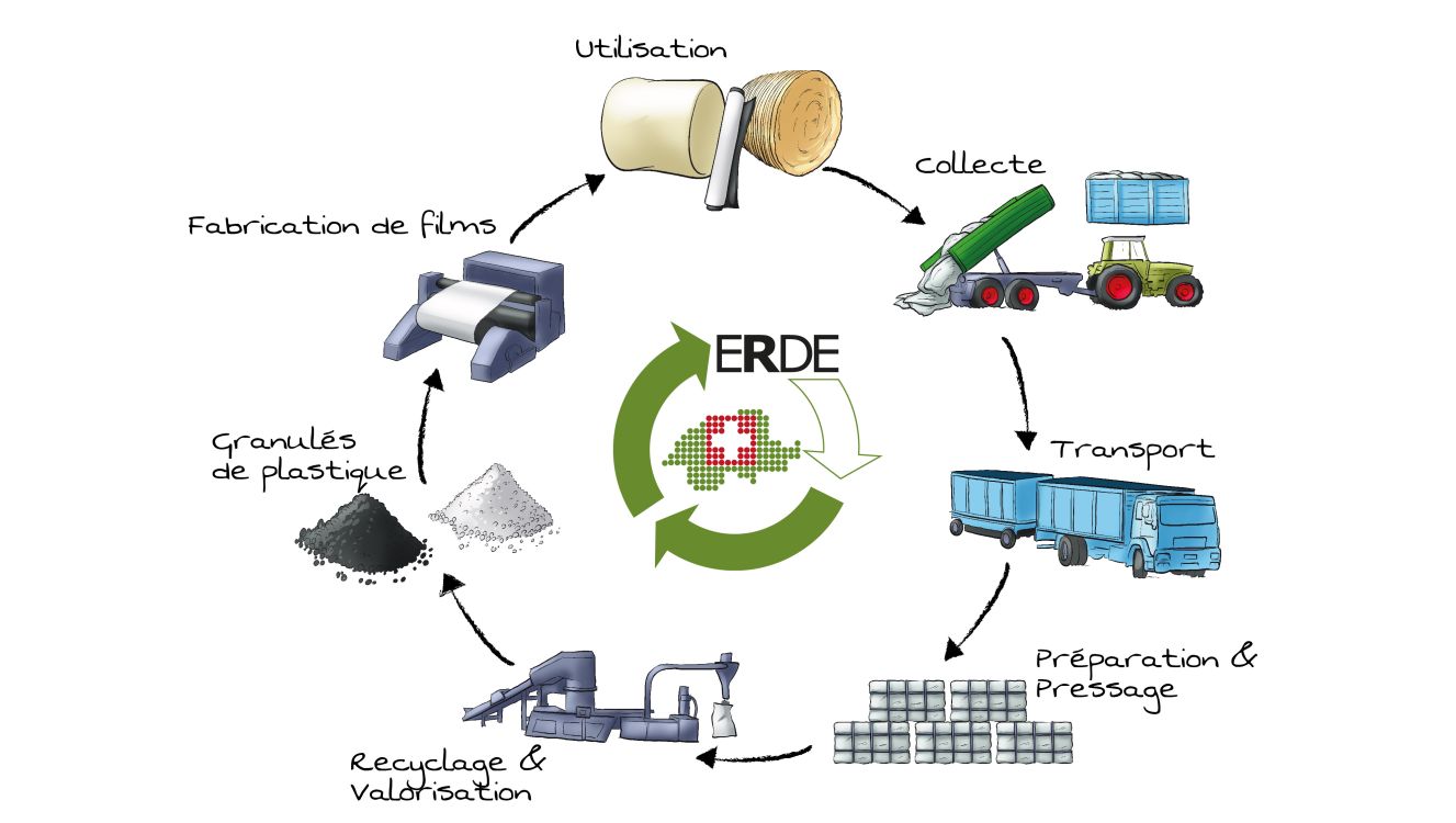 Kreislauf Silofolien Recycling. Darstellung: Erde