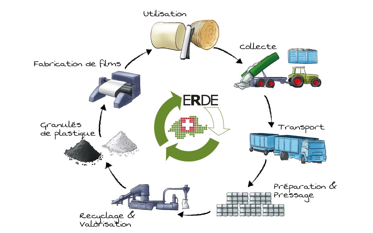 Kreislauf Silofolien Recycling. Darstellung: Erde