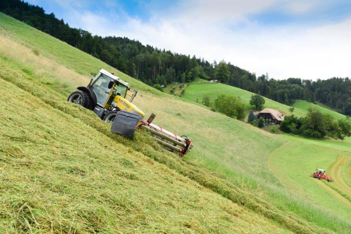 Rigitrac mit BB Umwelttechnik Kammschwader im Einsatz. Foto: Sepp Knüsel AG