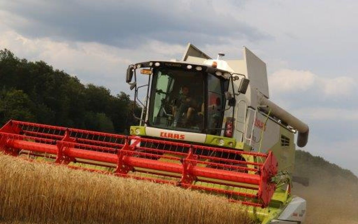 Claas-Mähdrescher im Einsatz. Foto: kim